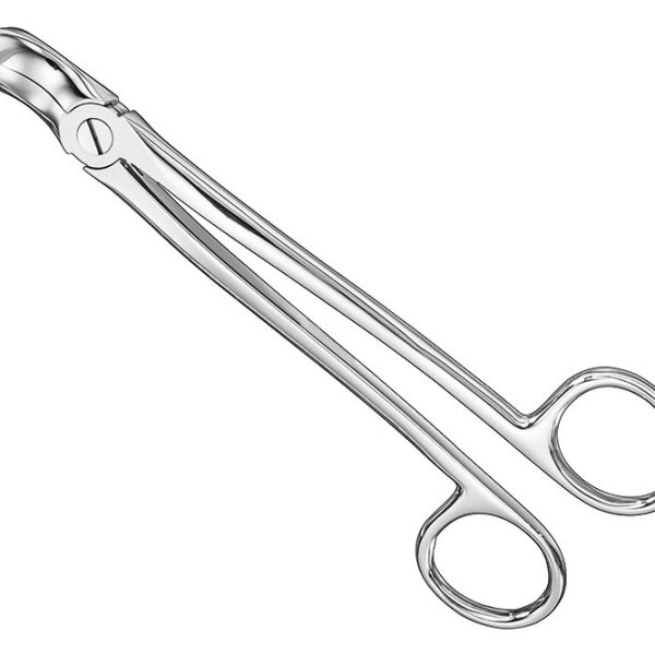 Extracting Forceps English Pattern Standard