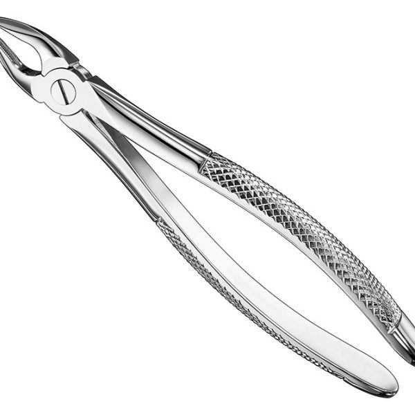 Extracting Forceps English Pattern Standard