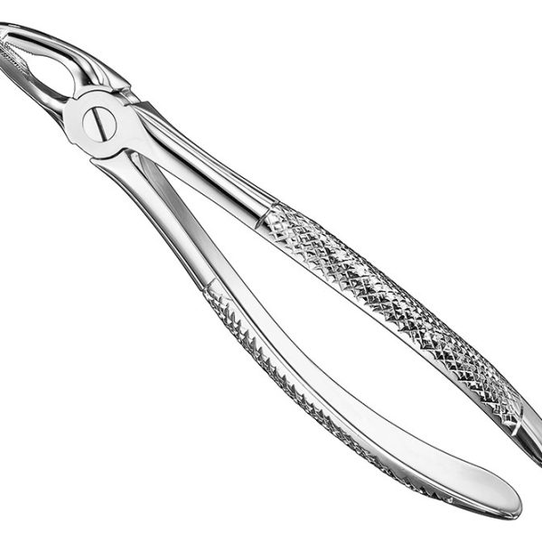 Extracting Forceps English Pattern Standard