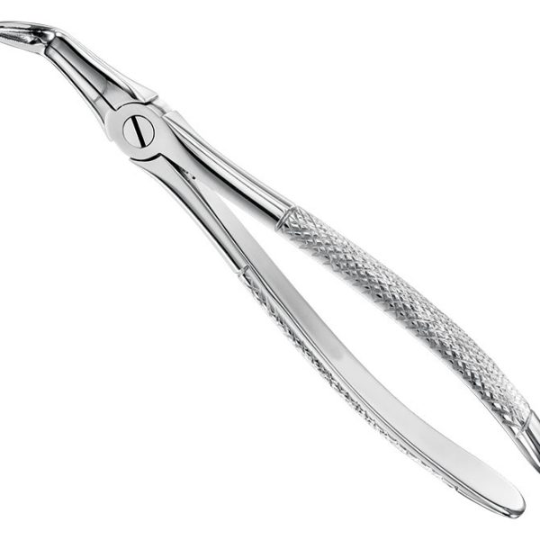 Extracting Forceps English Pattern Standard