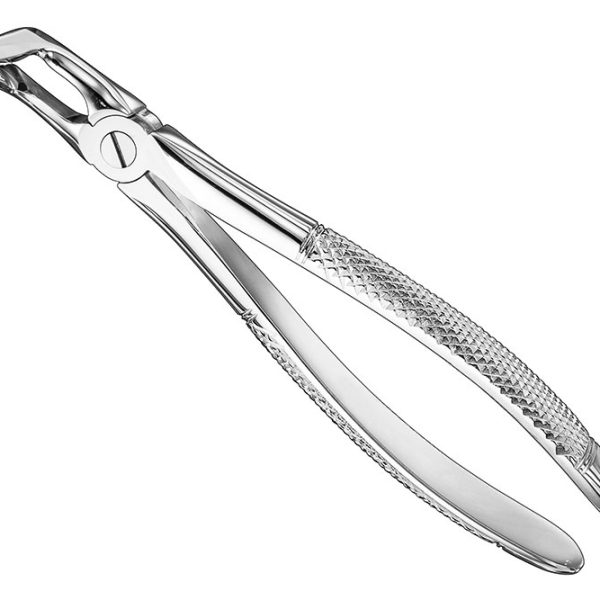 Extracting Forceps English Pattern Standard