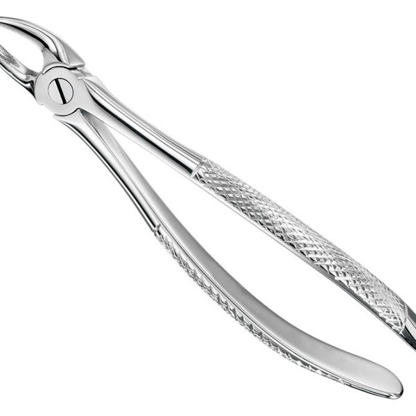 Extracting Forceps English Pattern Standard