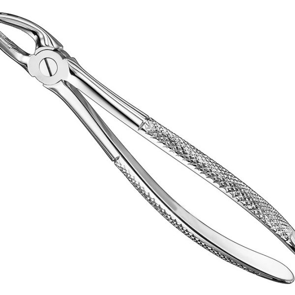 Extracting Forceps English Pattern Standard