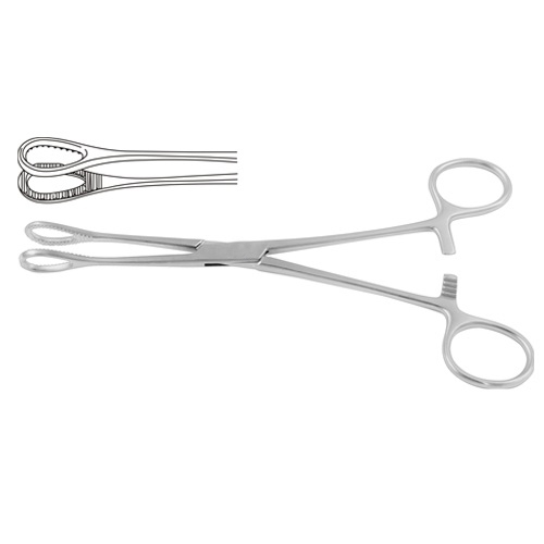 Foerster Sponge Holding Forceps Straight 18 cm
