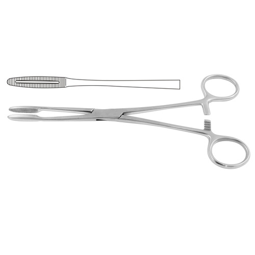 Gross-Maier Dressing Forceps Straight - With Ratchet 22 cm