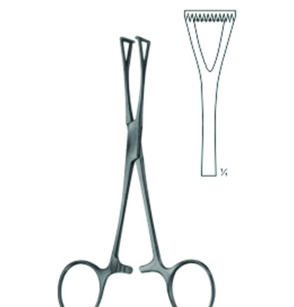 Intestinal And Tissue Grasping Forceps