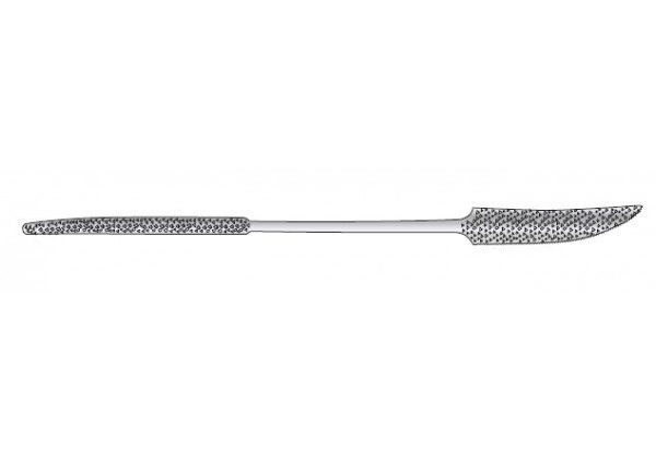 Orthopaedic Rasps