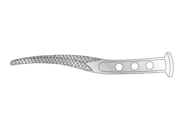 Orthopaedic Rasps