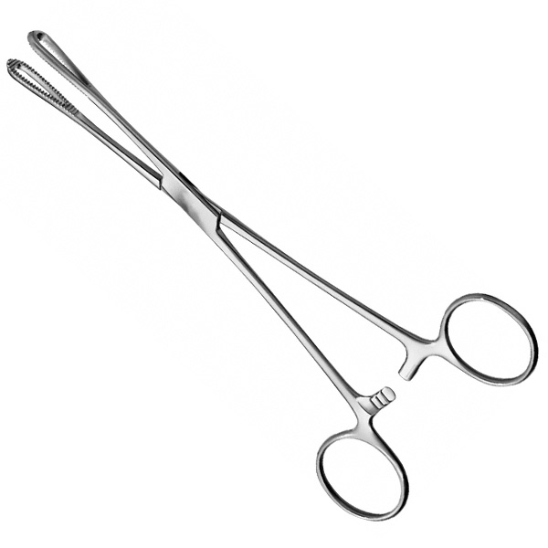 RAMPLEY Sponge Forceps