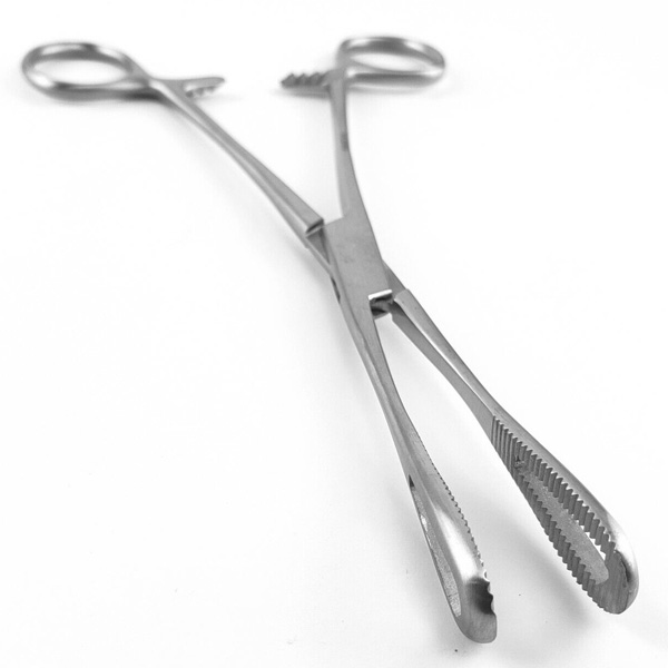 Rampley Sponge Forceps